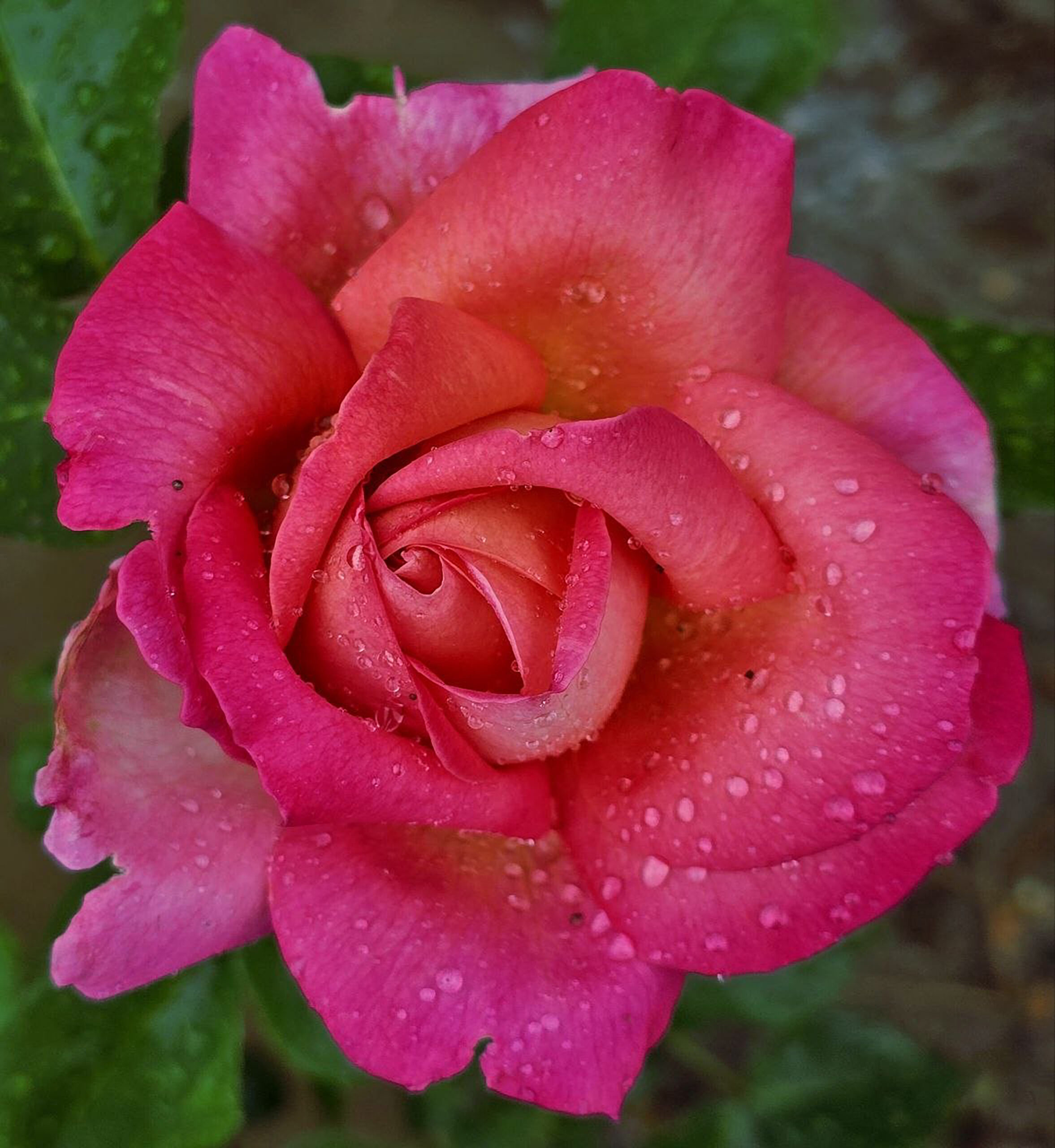 Raindrops from Heaven